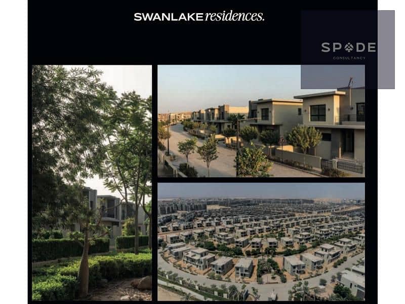 5 e1e56f99-81c4-4e8a-9f7c-8a8ea0d354e3. jpg