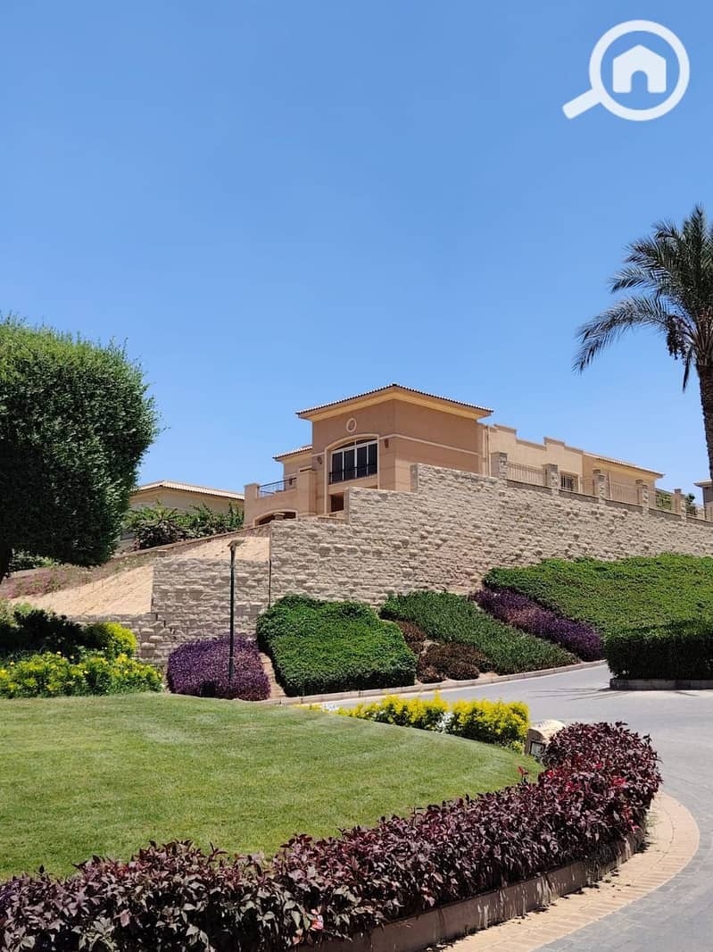 5 photo_2025-07-17_11-50-05. jpg