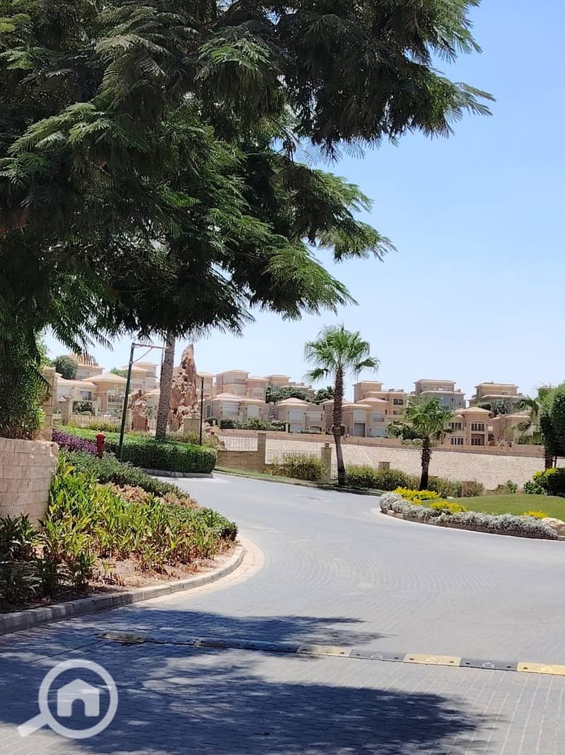 6 photo_2025-07-17_11-50-04. jpg