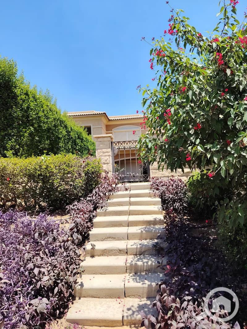 9 photo_2025-07-17_11-42-17. jpg