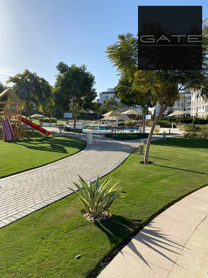 11 227232623_2876224995976712_884970187370410207_n. jpg