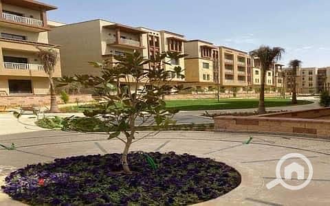 3 WhatsApp Image 2025-08-19 at 1.16. 36 PM (2). jpeg