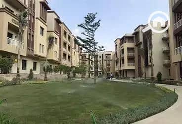 4 WhatsApp Image 2025-08-19 at 1.16. 36 PM. jpeg