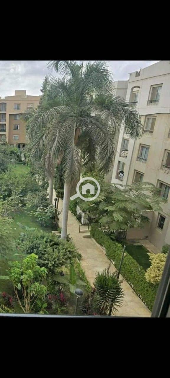 8 3ce22b6f-a569-42bc-bcdd-8bd7f462bd72. jpeg