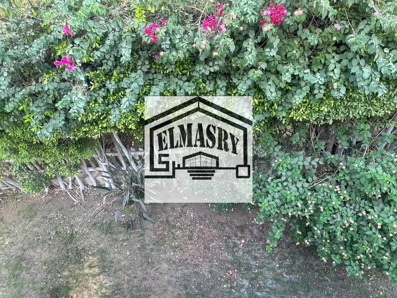 25 96fc6278-c782-4154-936c-2b84d1574cc7. jpeg