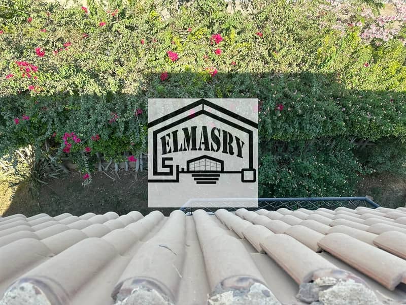 37 869590c9-06d8-418c-8c28-e15be235f70f. jpeg