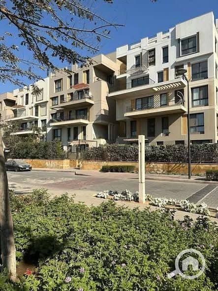 8 557612723_723712864022370_164567993456492483_n. jpg