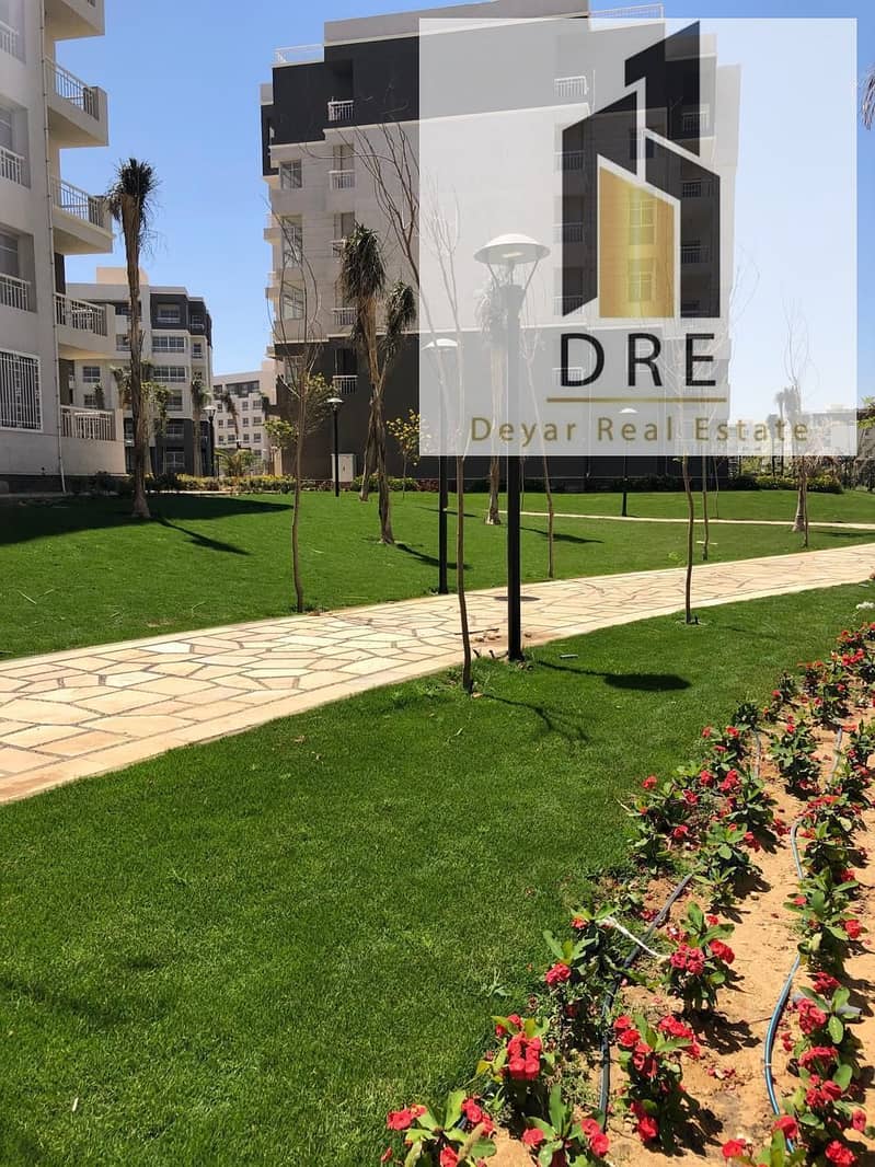 14 039202ab-0c20-47dc-9465-83d0762f17fe. jpg