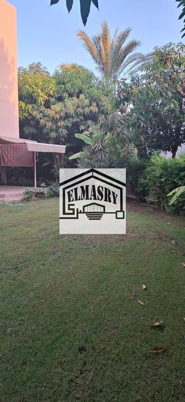 2 9a30d701-c47f-4019-913c-c6df09049e33. jpeg