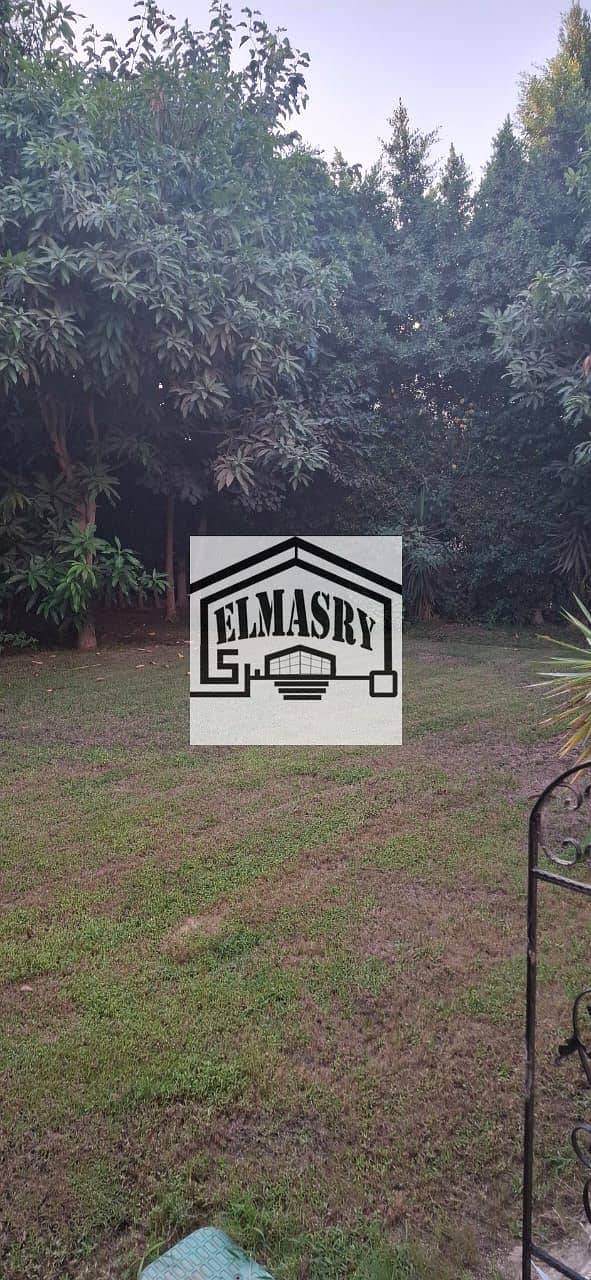 3 08e4b37e-1aa3-41d6-9565-30ceac61179a. jpeg