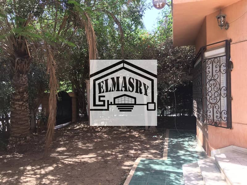 16 ea5bba65-710e-40e9-a249-a7ccfa7bb44f. jpeg