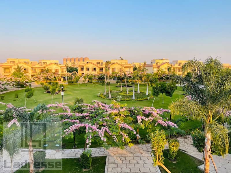 IMG-20251102-WA0146. jpg IMG-20251102-WA0146. jpg