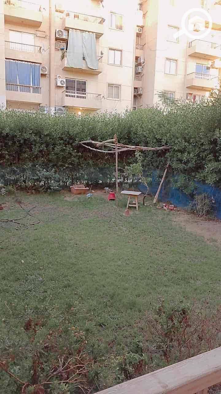 11 e743c094-9769-4a54-aee9-4ab06b45c781. jpg