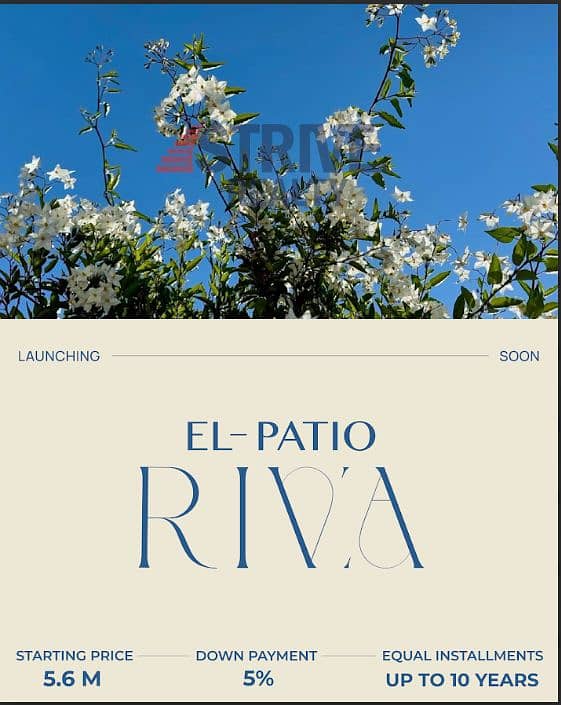 8 Screenshot 2025-11-02 153627. png