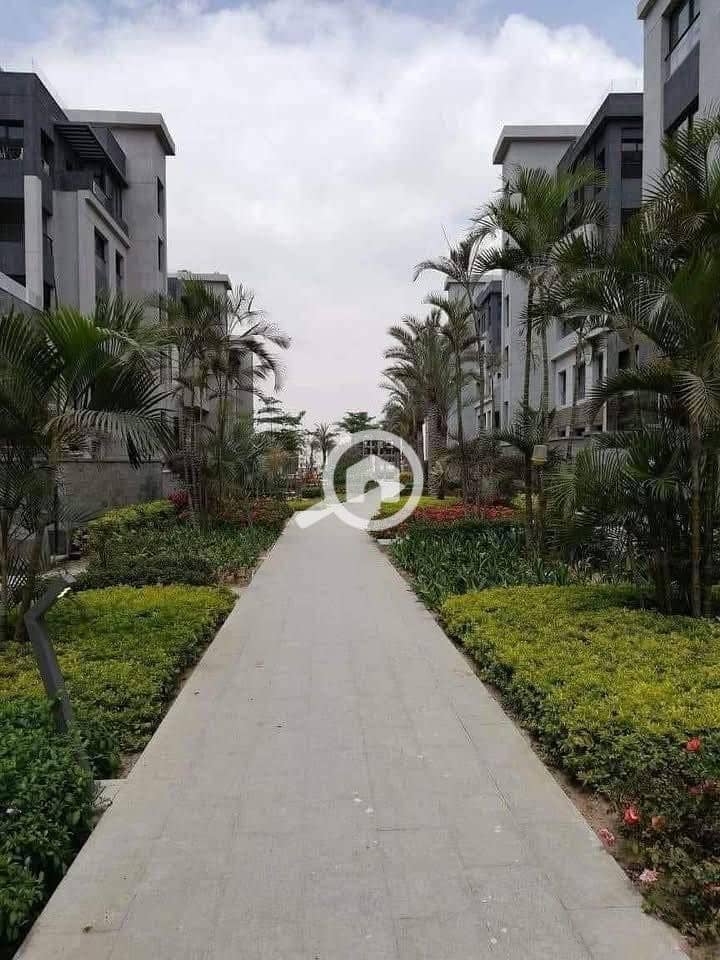 10 574269917_122150169248644114_6317101434110064119_n. jpg