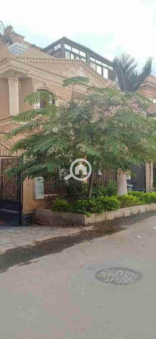 1000281036. jpg 1000281036. jpg