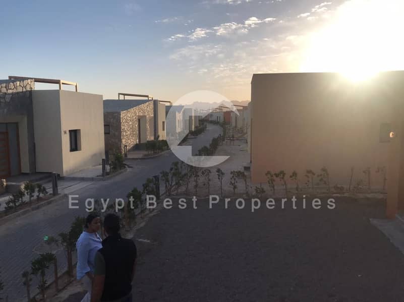 5 WhatsApp Image 2021-03-22 at 10.45. 15 AM. jpeg