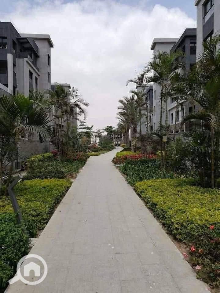 9 574269917_122150169248644114_6317101434110064119_n. jpg