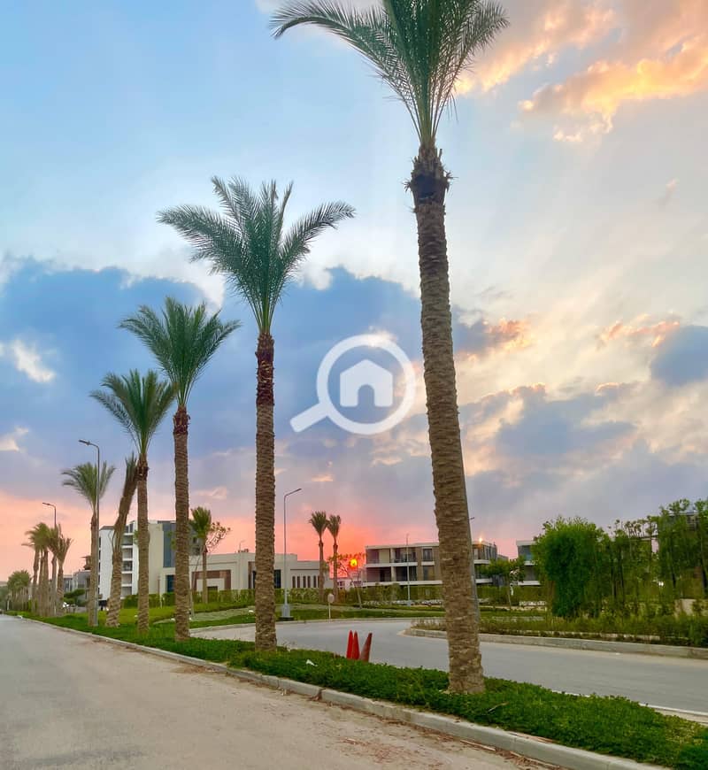 9 IMG-20251102-WA0244. jpg