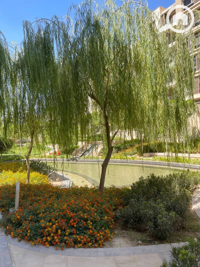 10 IMG-20251102-WA0245. jpg