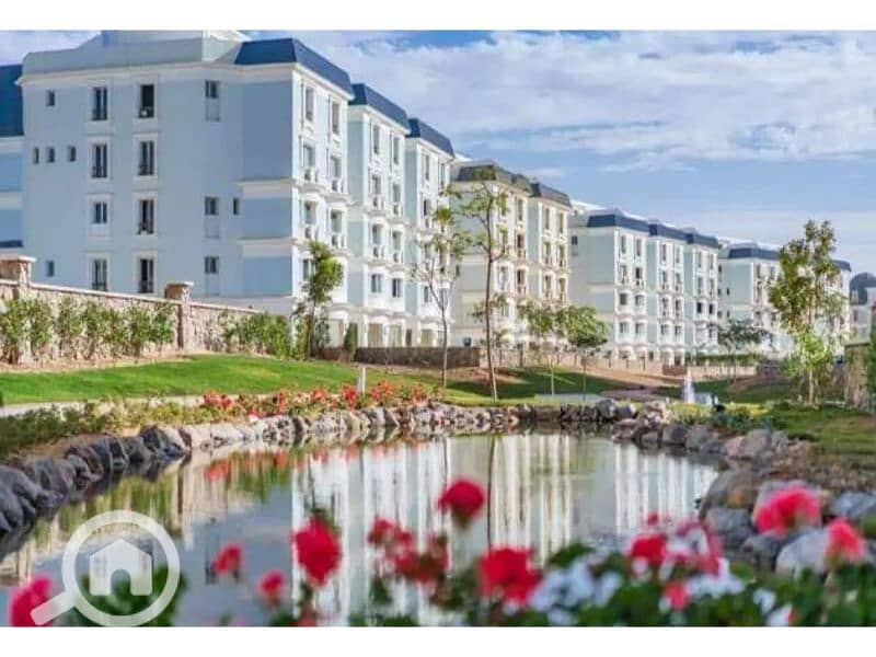 12 7683206-2617bo. jpg