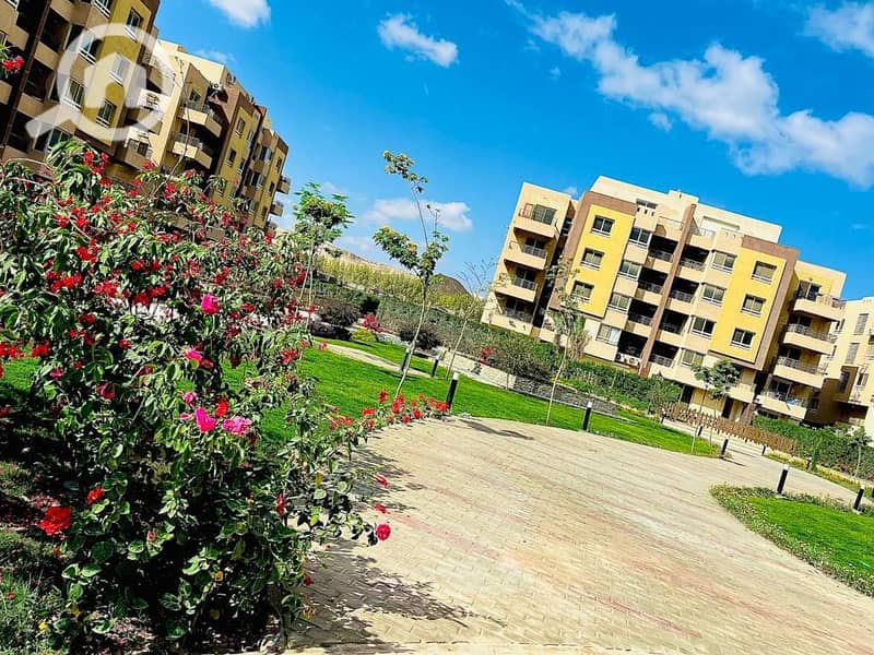 4 WhatsApp Image 2025-10-12 at 2.02. 23 PM (3). jpeg