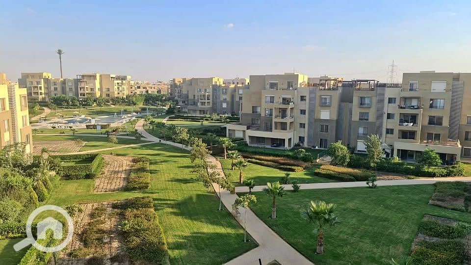 8 553547559_770822475862721_2770262249494818626_n. jpg