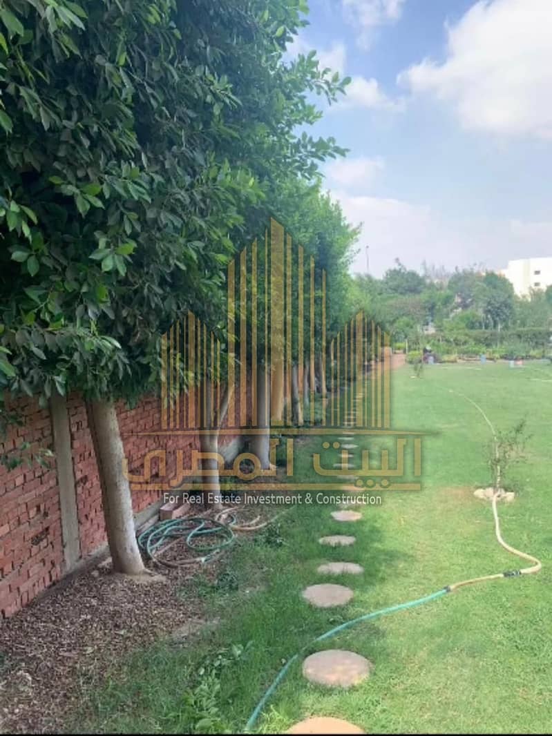 2 IMG-20251026-WA0019. jpg