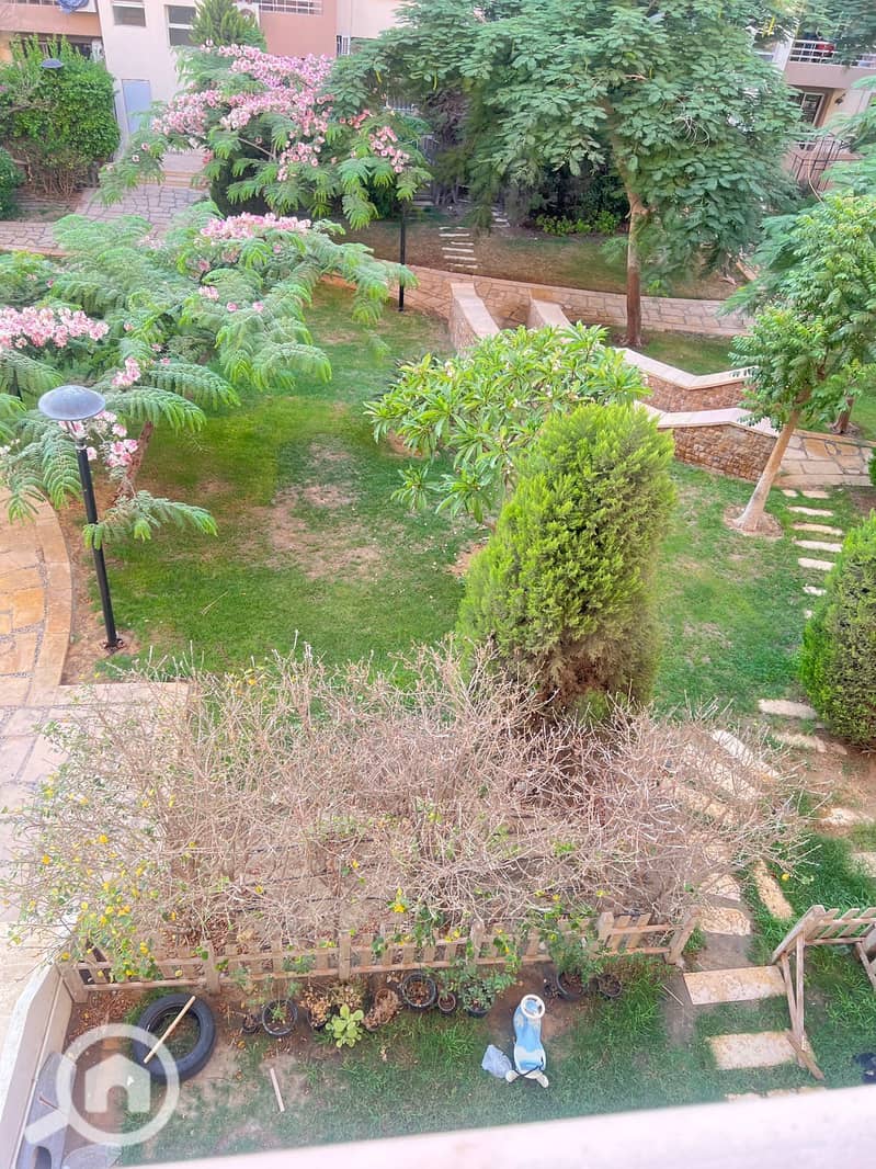 11 d0566d6c-c50e-4c4d-a309-a9d010c553c6. jpeg