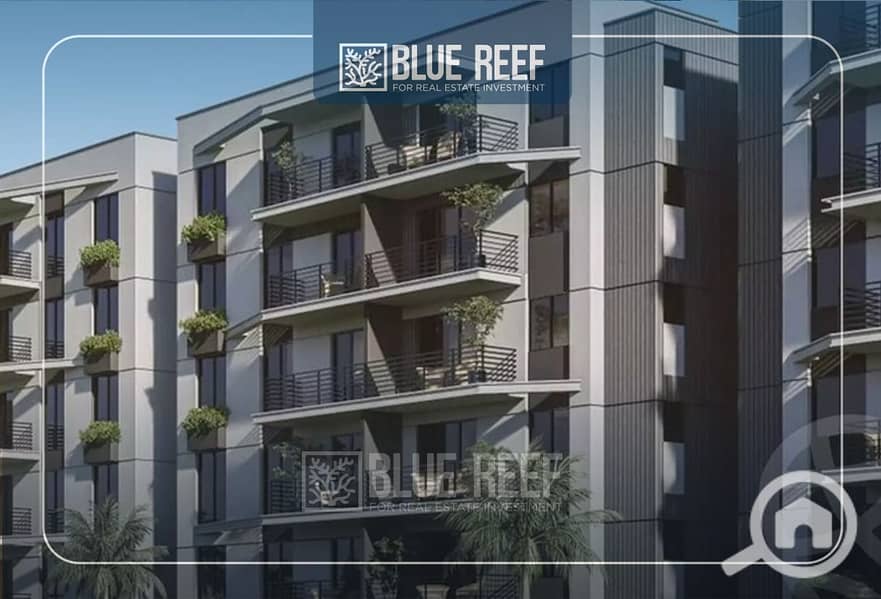 4 WhatsApp Image 2025-10-13 at 3.55. 01 PM (1). jpeg