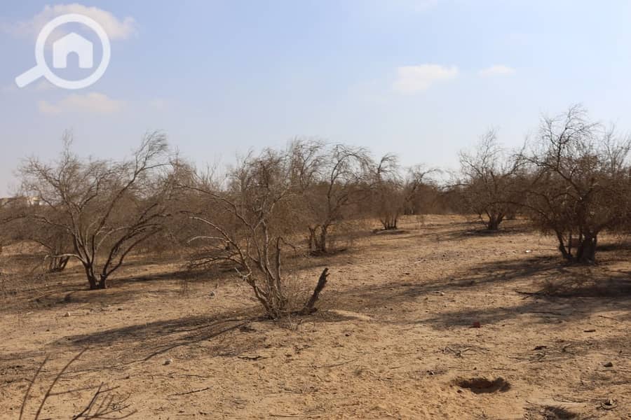 3 WhatsApp Image 2025-11-01 at 12.44. 01_acc6bede. jpg