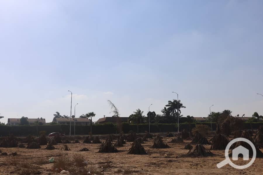 5 WhatsApp Image 2025-11-01 at 12.44. 03_9997b548. jpg