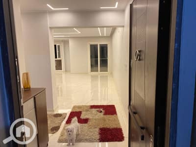 بنتهاوس 3 غرف نوم للبيع في الشيخ زايد، الجيزة - d0289d90-e0d8-4741-a278-84ddb0fda323. jpg