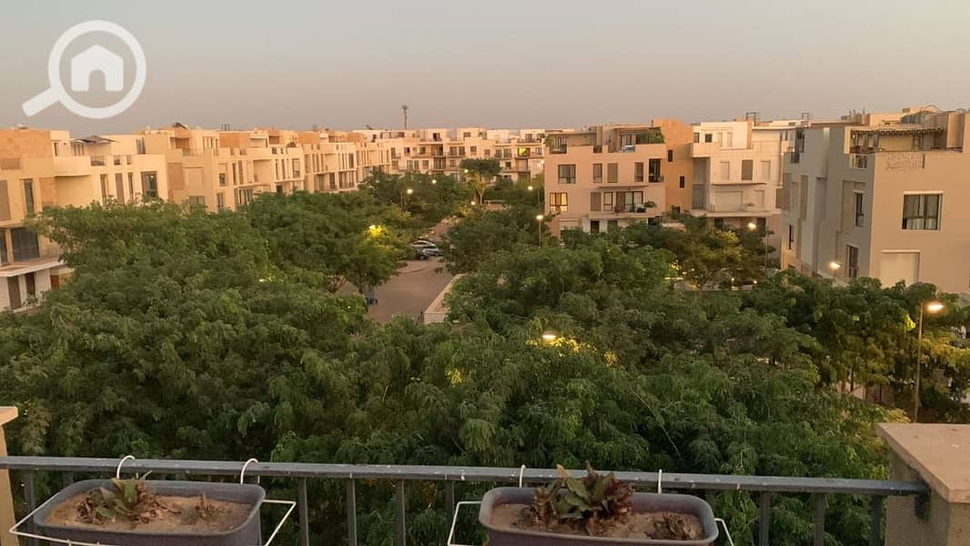 7 IMG-20251102-WA0146. jpg