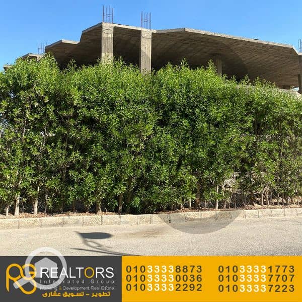 6 لىالالا (5). png