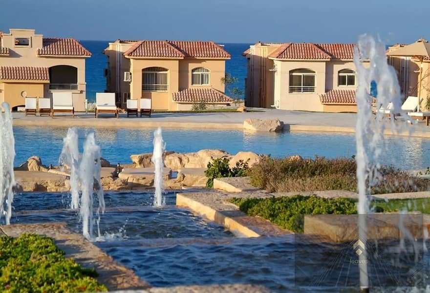 5 3711911-1ead3o. jpg