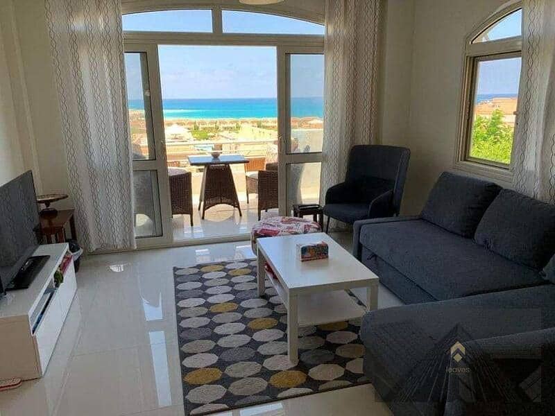 8 363317583_2414473472067481_1178700103861759522_n. jpg