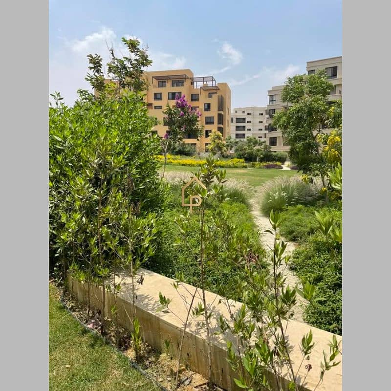 2 545514280_2948386255357054_8505435242105336272_n. jpg