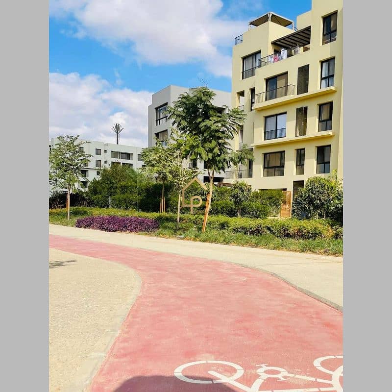 11 566201697_1309718641165977_484962729529980290_n. jpg