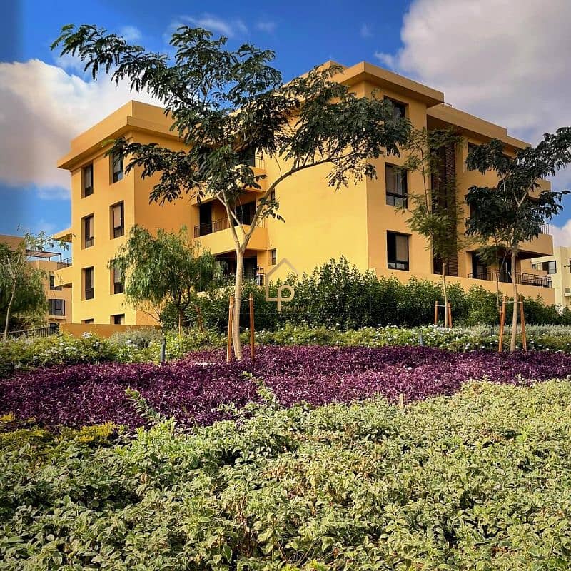 12 568438767_1309718654499309_8351604852214873787_n. jpg