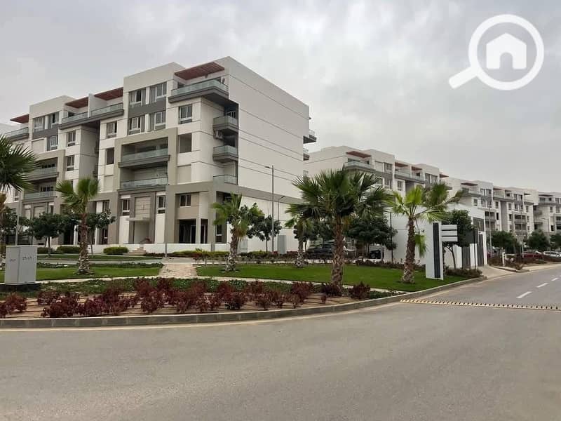 8 558578403_122139985376925865_1942145141399749403_n. jpg