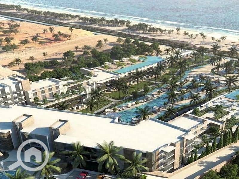 6 img-20231014-211937-254. jpg