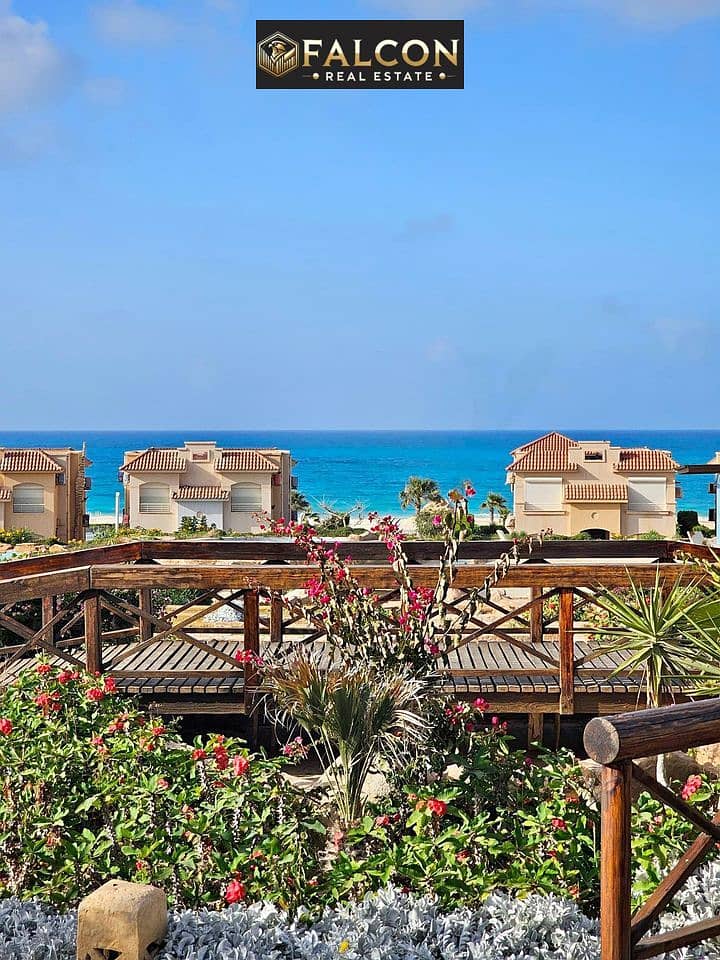 3 450769874_1451546816246077_9020768593730858806_n. jpg