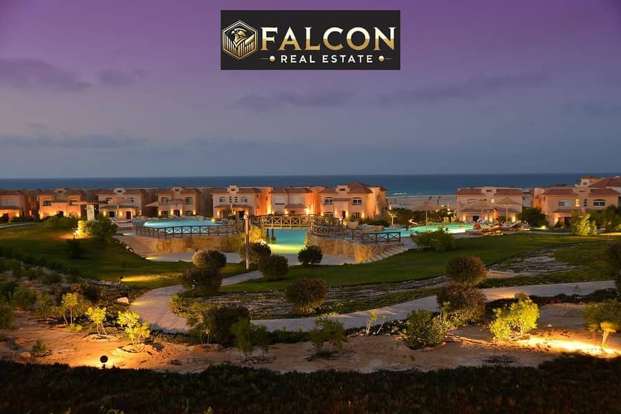 10 722da5b9-dbba-4e5b-a759-c46b05ecd16e. jpg