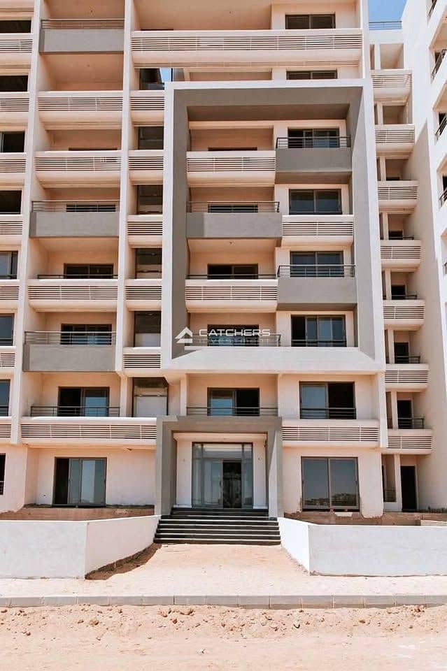 8 556011779_4196906027295528_7469018000964275111_n. jpg