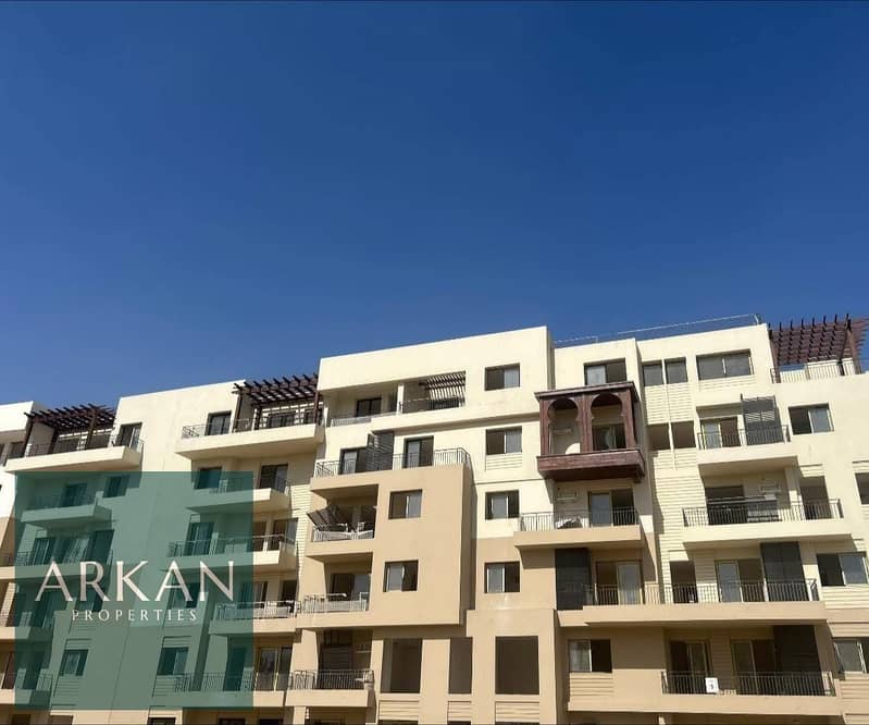 5 47f275b4-28d4-4a9a-a518-0da2baa80b14. jpg