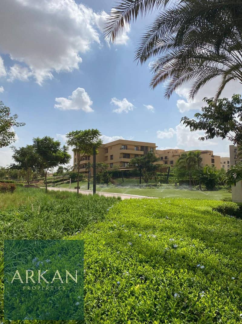 9 bbab4450-bc44-4207-b383-564889170b00. jpg