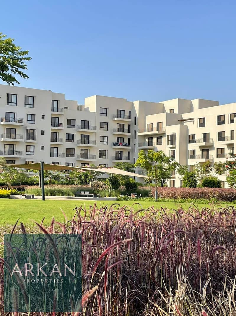 12 eb80da7b-77a3-4951-b77c-c603efe4a50c. jpg