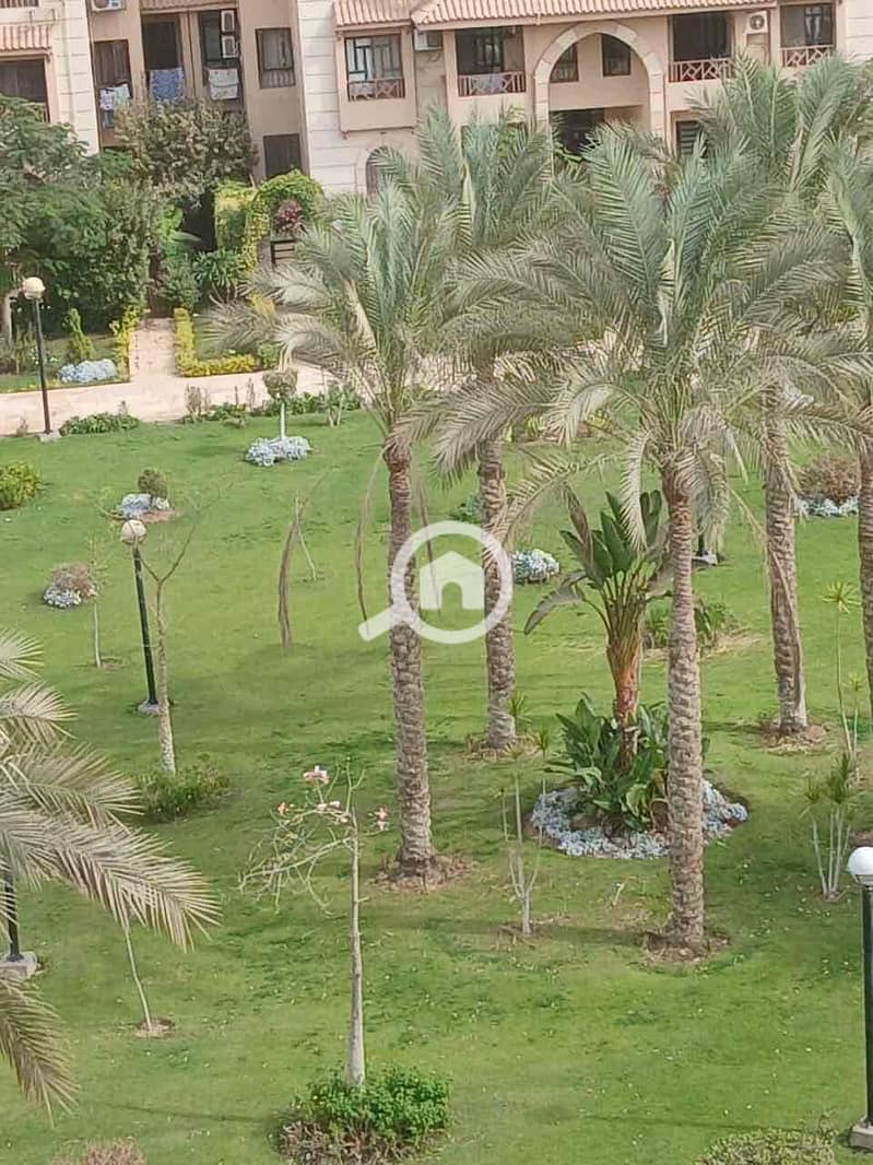 3 36b2a8e2-8ad9-4216-853c-048859e3021c. jpg