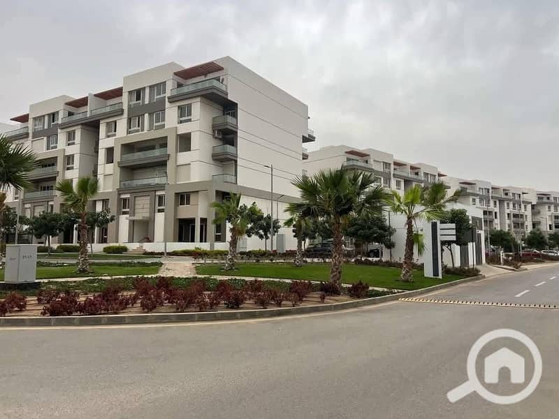 7 558578403_122139985376925865_1942145141399749403_n. jpg